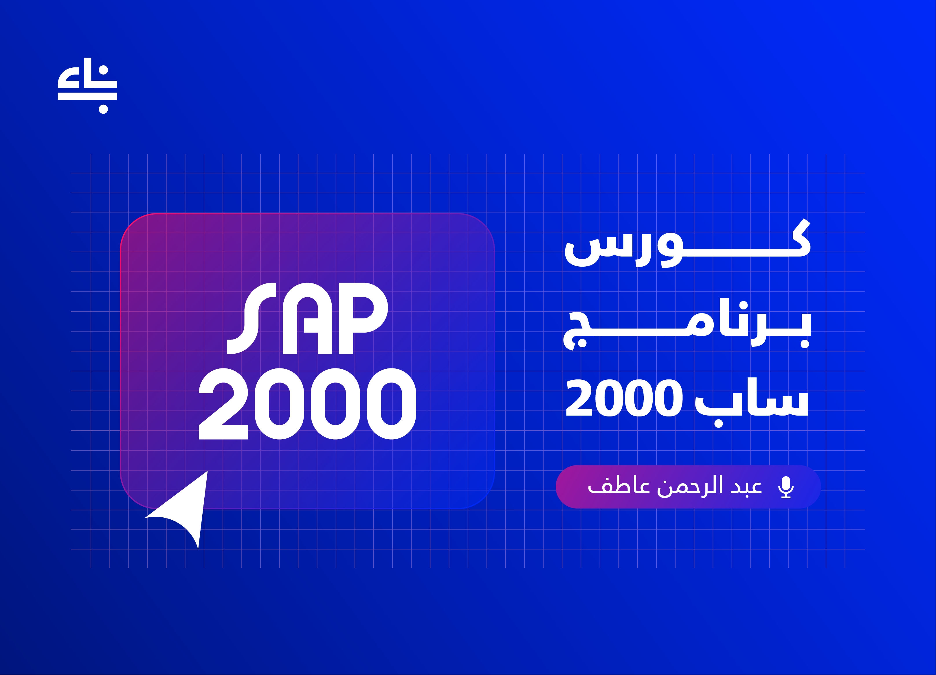 SAP 2000